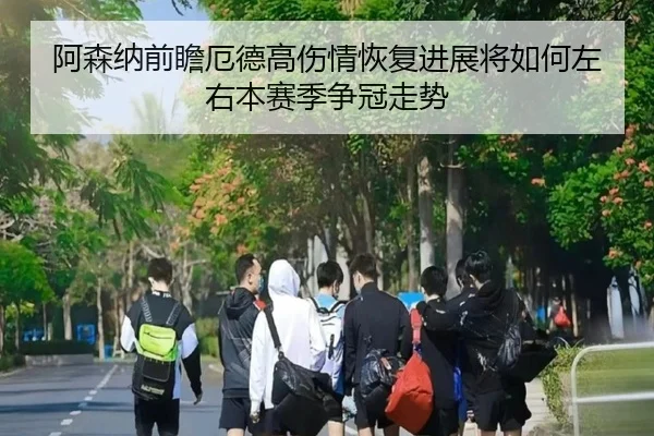 阿森纳前瞻厄德高伤情恢复进展将如何左右本赛季争冠走势